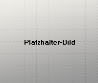 a_PlaceHolder_1